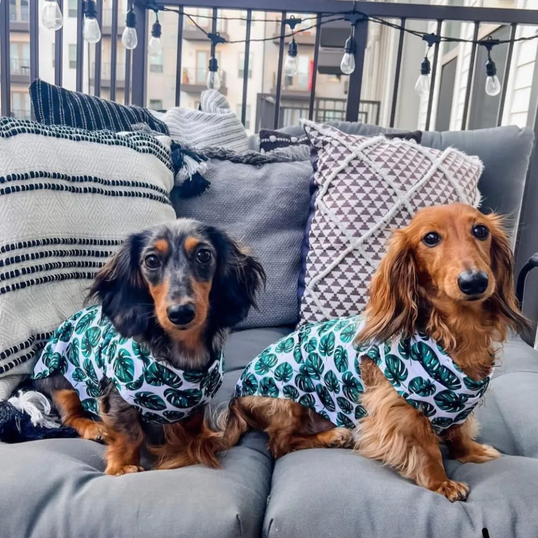 Dachshund Cooling Vest