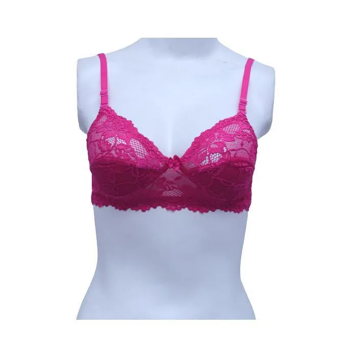 Floral Lace Net Fancy Bra