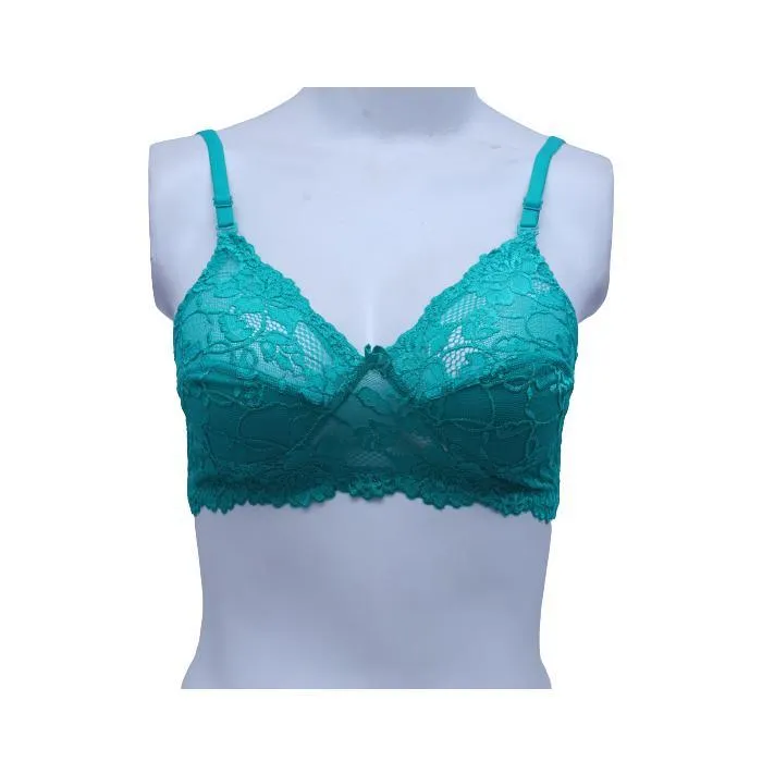 Floral Lace Net Fancy Bra