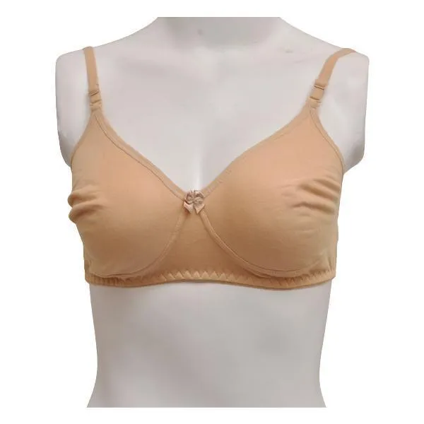 Ladies Seamless Bra Comfy Matching Seamless Stretchable Cotton T-Shirt Bra-Shapewear. Pk