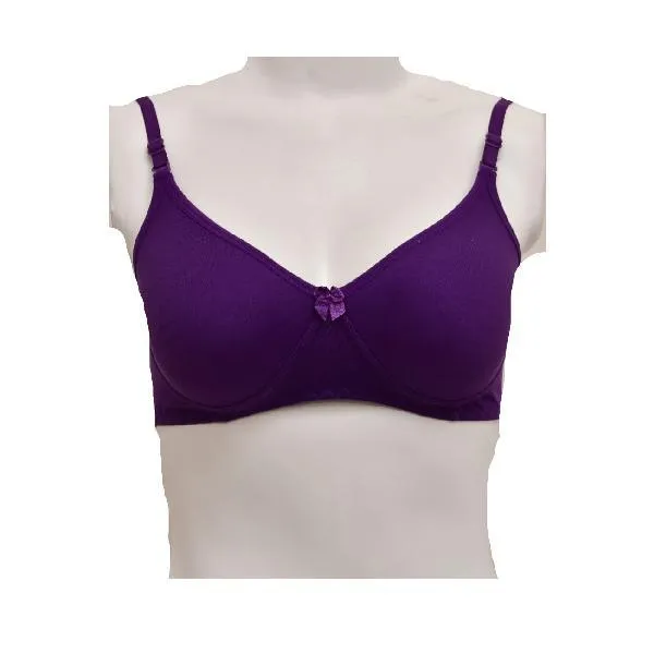 Ladies Seamless Bra Comfy Matching Seamless Stretchable Cotton T-Shirt Bra-Shapewear. Pk