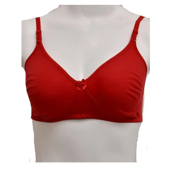 Ladies Seamless Bra Comfy Matching Seamless Stretchable Cotton T-Shirt Bra-Shapewear. Pk