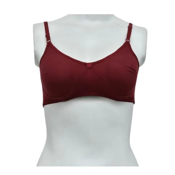 Ladies Seamless Bra Comfy Matching Seamless Stretchable Cotton T-Shirt Bra-Shapewear. Pk